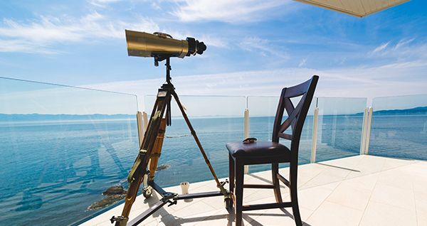 Looking Ahead: Exciting Future Amenities